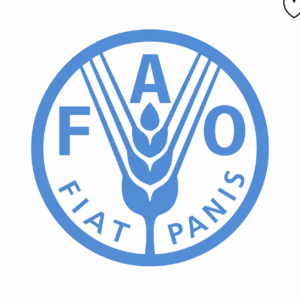 Recrutement FAO : Spécialiste aux achats (H/F) – Poste basé à Dakar (20 Mai 2026)